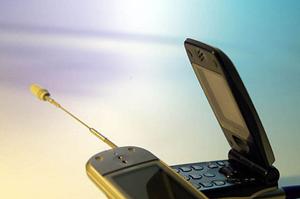 WebPerformerの効果的な活用法と導入メリット|システム開発の新時代を切り拓く