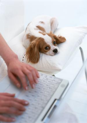 ウェブ会議ならミーティングプラザ